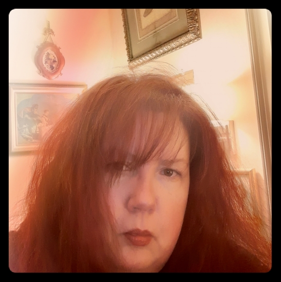 Meet your Posher, Elsa & Nita,and Bella - Picture 1 of 5